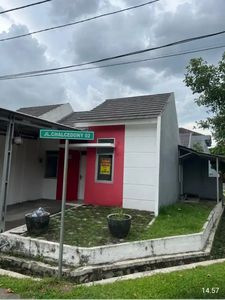 Rumah disewakan Murah di citra raya