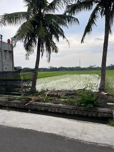 Sawah/Lahan dijual