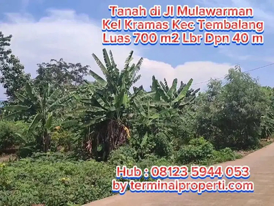 Tanah Hak Milik di Jl Mulawarman Kel Bulusan Kec Tembalang Semarang