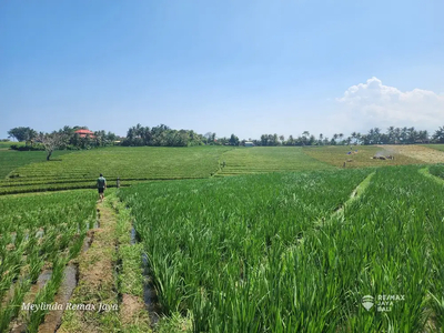 Tanah Sawah & View Laut, 5 menit ke pantai Kelating.