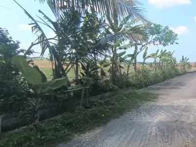 Tanah view sawah gunung sungai dan laut di Tabanan Bali