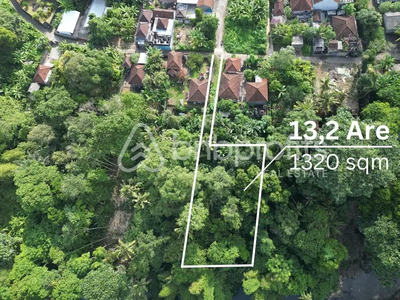 Tranquil Paradise Found: Prime Freehold Land in Nyanyi Area - BSLF193