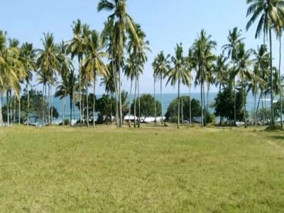 Tanah Beachfront di Jembrana