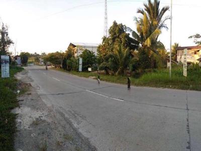 Dijual 1,1 Ha Jl.Projakal Kariangau Km.5