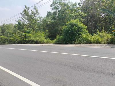 JUAL TANAH KULON PROGO DI JALAN UTAMA ZONA INDUSTRI