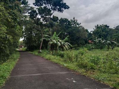 JUAL TANAH KULON PROGO DI ZONA INDUSTRI SENTOLO