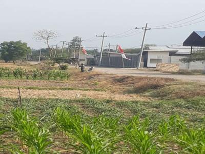 LAHAN INDUSTRI GRESIK