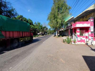 Murah Tanah Nol Jalan Raya Propinsi Situbondo Banyuputih Jawa Timur