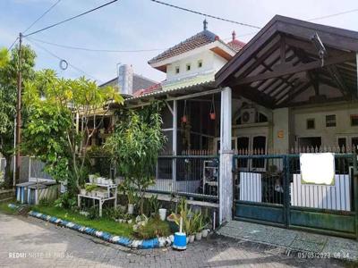 Rumah Murah 1 Lantai di Perum Pondok Tjandra Jalan Jeruk