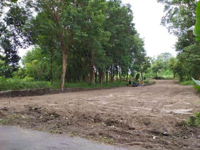 Tanah Dijual Area Semarang Selatan, Nongkosawit Gunung Pati