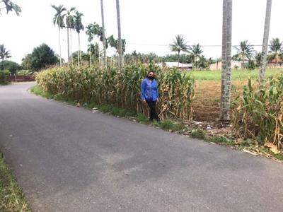 Tanah ladang kering