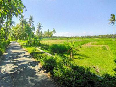 Tanah Mulya Tawangsari Jogja, 2 Jutaan/m Dekat Pengadilan Agama Wates