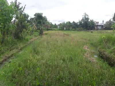 Tanah Murah Cocok Villa di Jln Godean Sidomoyo Dkt Ringroad Barat