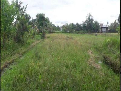 Tanah Murah cocok Villa /Perum di Jln Godean Sidomulyo dkt Kota Jogja
