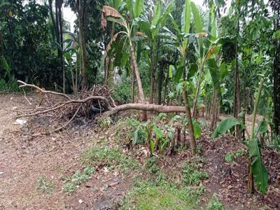 Tanah Murah Siap Bangun Dekat Kantor Desa Citayam