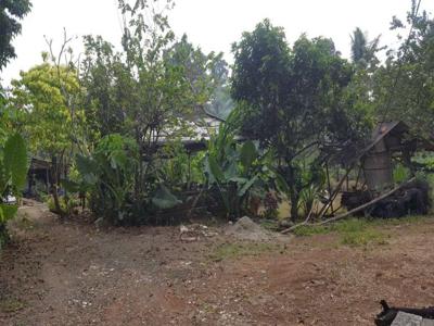 Tanah Strategis di Pinggir Jalan Raya Lingkar Selatan Serpong