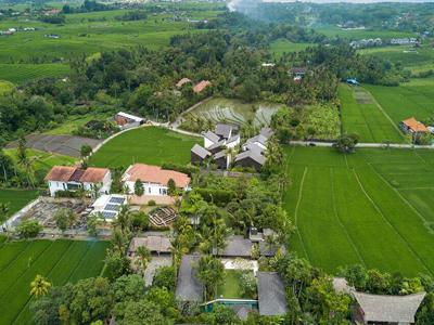 Sewa Harian Villa Sawah, 4 Kamar Tidur di Canggu Bali - BVI35243