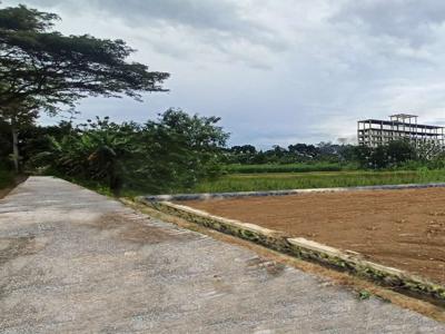 Belakang Kampus UTY Jombor, Tanah Dijual Trihanggo, Legalitas SHM
