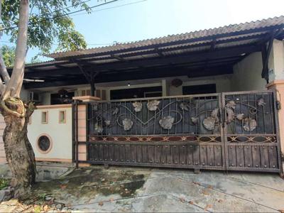 Disewakan Rumah Jl. Puri Anjasmoro - Semarang