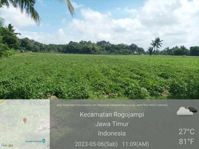 Jual BU Sawah cocok untuk segala jenis tanaman