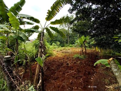 Tanah Bungur Raya Harjamukti Sukatani Cimanggis Depok Jawa Barat