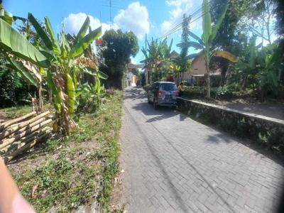 TANAH MANGKU JALAN UTAMA CONBLOK LEBAR DEPAN 20 M BONUS RUMAH