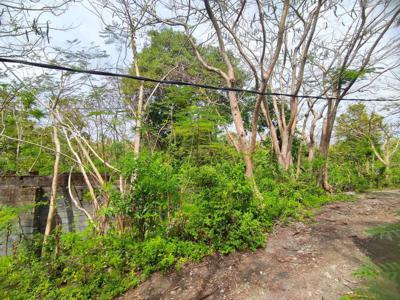 Tanah Murah Di Goa Gong Jimbaran Dekat GWK Darmawangsa Pecatu Nusa Dua