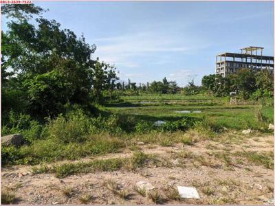 Tanah Murah Jogja: Dekat Kampus UGM Jogja Area Kost Trihanggo
