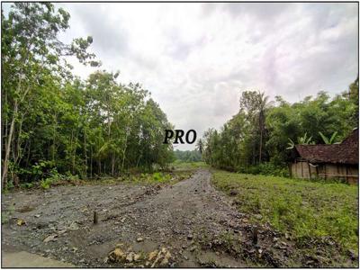Tanah Murah Kulon Progo Dekat Pasar Sentolo Baru, SHM