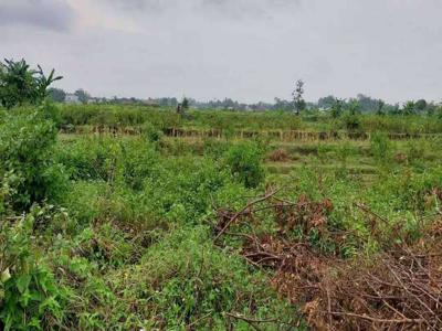 Tanah Tegalan 2,6 Hektar Jln Aspal Jakal Km 10 Ngaglik Sleman Yoyakart