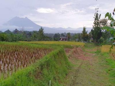 Tanah-Villa diMegamendung -Bogor