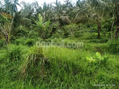 5800 sqm exotic land in Kementug, Gunung Salak, Tabanan