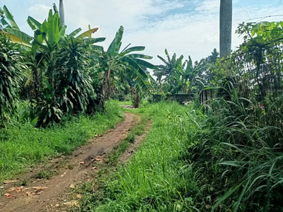 Pondok cabe Nempel Politeknik Sahid Pariwisata