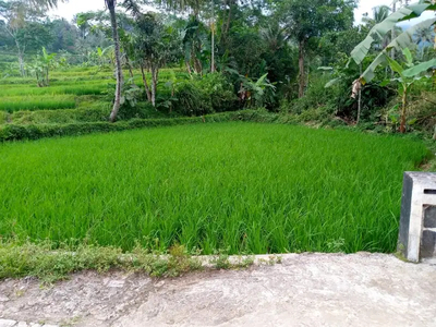 Dijual Swah pinggir sungai Cidahu