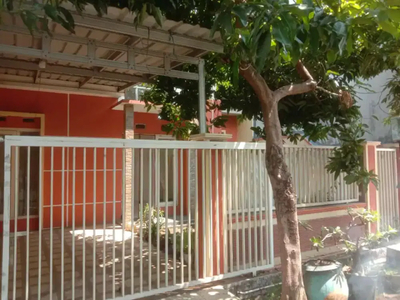 Dikontrakkan rumah murah dekat pusat kota sidoarjo