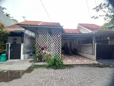 For Sale Rumah di Olivia Residence