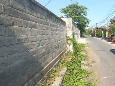 Jual tanah pinggir jalan telaga Waja di ciung Wanara Renon Denpasar