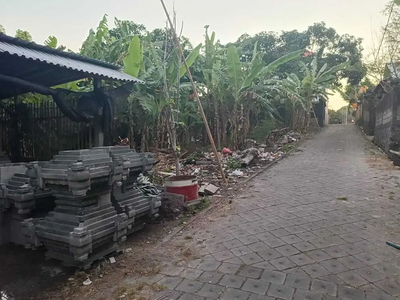 Jual Tanah Termurah di Pererenan Tumbak Bayuh