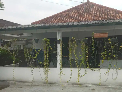 Rumah Luas Tiga Kamar, Akses Lingkar Laladon, Cibeureum Dramaga Bogor