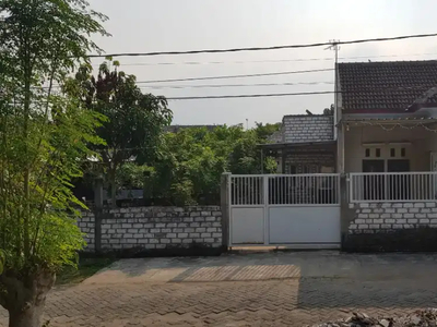 Rumah Tuban Pojok SHM