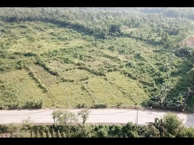 Tanah di jalan raya Parung panjang - Bogor