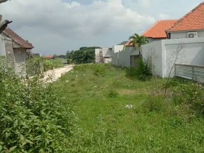 Tanah Disewakan 25 are Pinggir Jalan Utama, area Canggu
