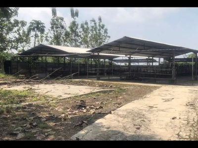 Tanah ex ternak sapi di ds Guradog - Curugbitung, Lebak Banten