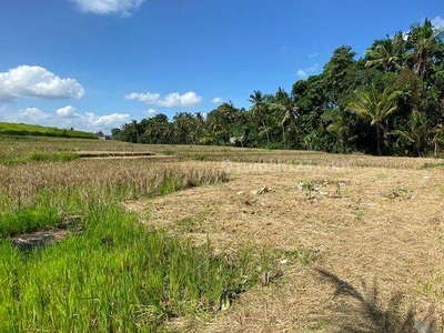 Tanah Kavling View Sawah di Pantau Yeh Gangga Gubug,tabanan