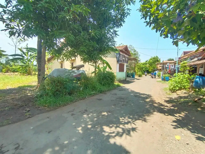 Tanah Pinggir Jalan Desa, Kauman Batang