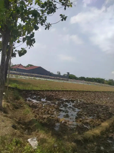 TANAH SAWAH 1.330 M² ZONA KUNING DI LALUNG KARANGANYAR