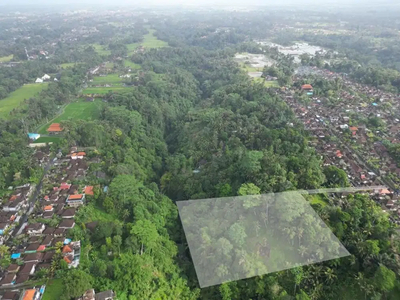 Tanah tebing dengan panorama hutan dan sungai