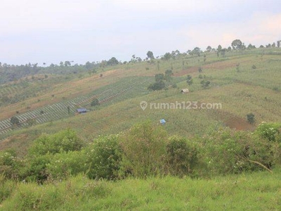 Dijual Segera Lahan 60 Ha Harga murah di Raya Cijapati Garut