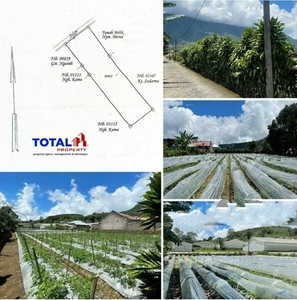 ForSale! Tanah Kosong di Daerah Kawasan Pariwisata Wanagiri, Sukasada, Buleleng