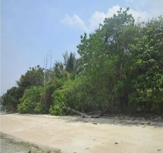 Dijual Tanah Lelang Akses Pantai Luas Hampir 8Ha di Pulau Pahawang